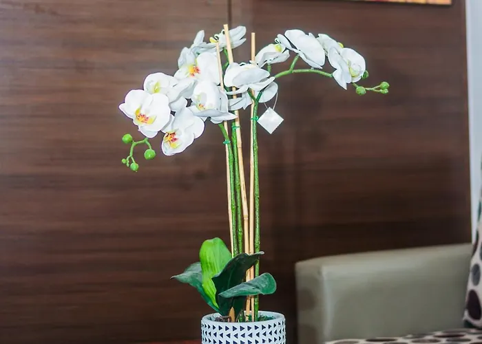 Apartment Urban Charm Cozy Meet 51 Air Swim Gym Park 300mb Manila